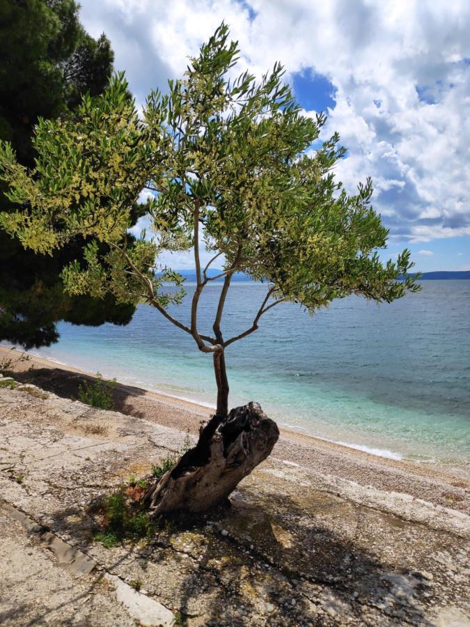 Apartments Coast 27 Podgora Luaran gambar